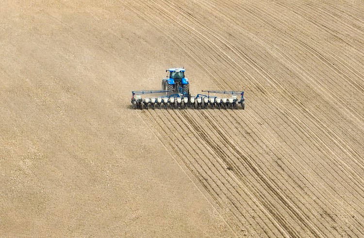 DRV: третий прогноз урожая в Германии в 2025 году больше не имеет нормальных лет