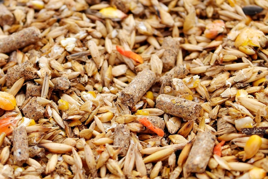 Более 6 тысяч тонн кормов и кормовых добавок отправлено на экспорт из Марий Эл