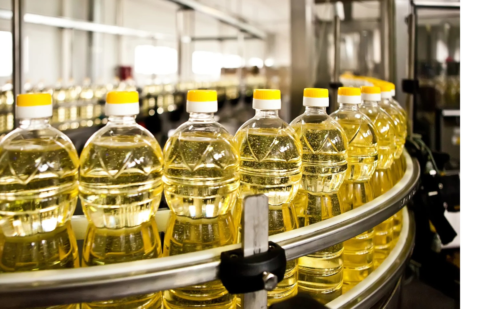 В Башкирии хотят построить российско-китайский маслозавод за ₽500 млн