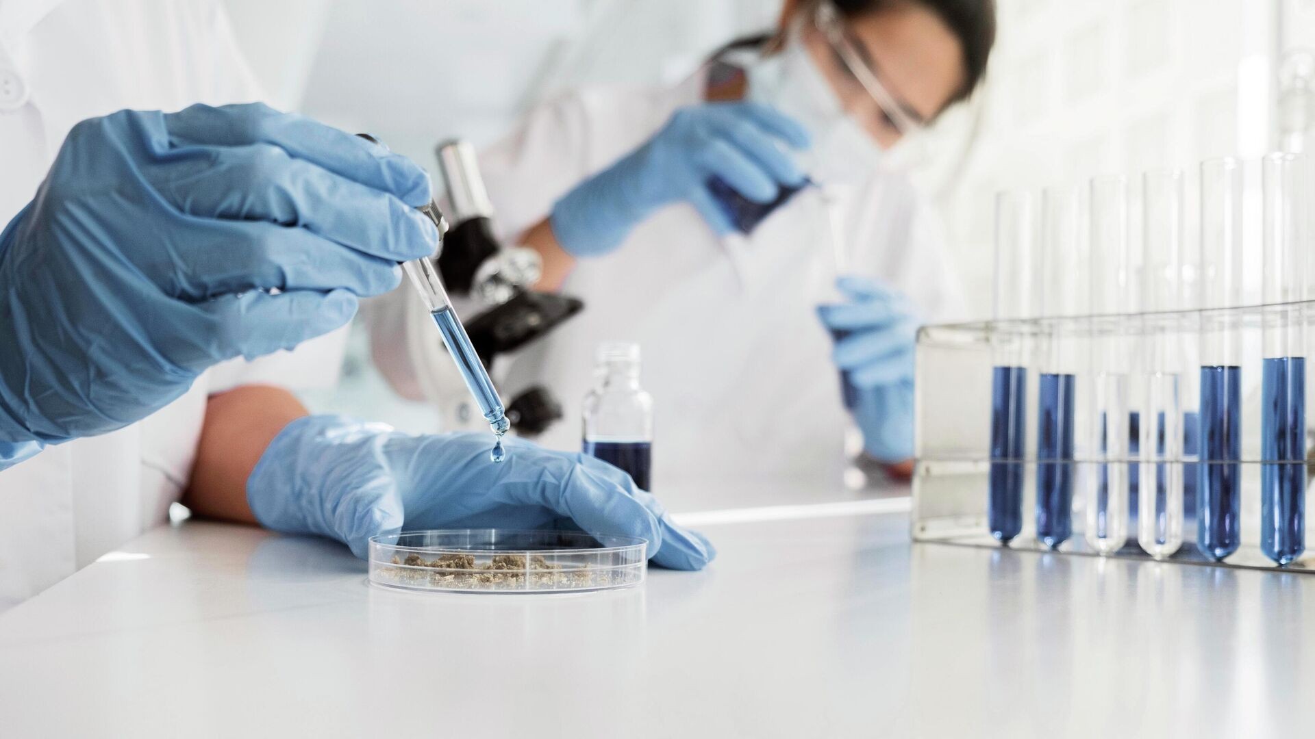 В Волгоградской области разработают биологически активную добавку из пребиотика местного производства