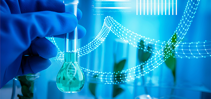 Ученые открыли новые семейства ферментов, разрушающих редкие бактериальные углеводы