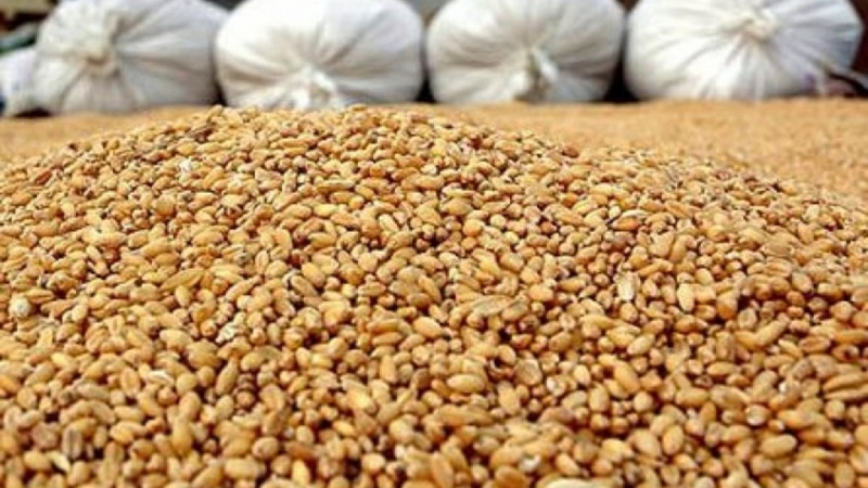 Экспортные пошлины на российскую пшеницу, ячмень и кукурузу снова обнулятся с 20 августа