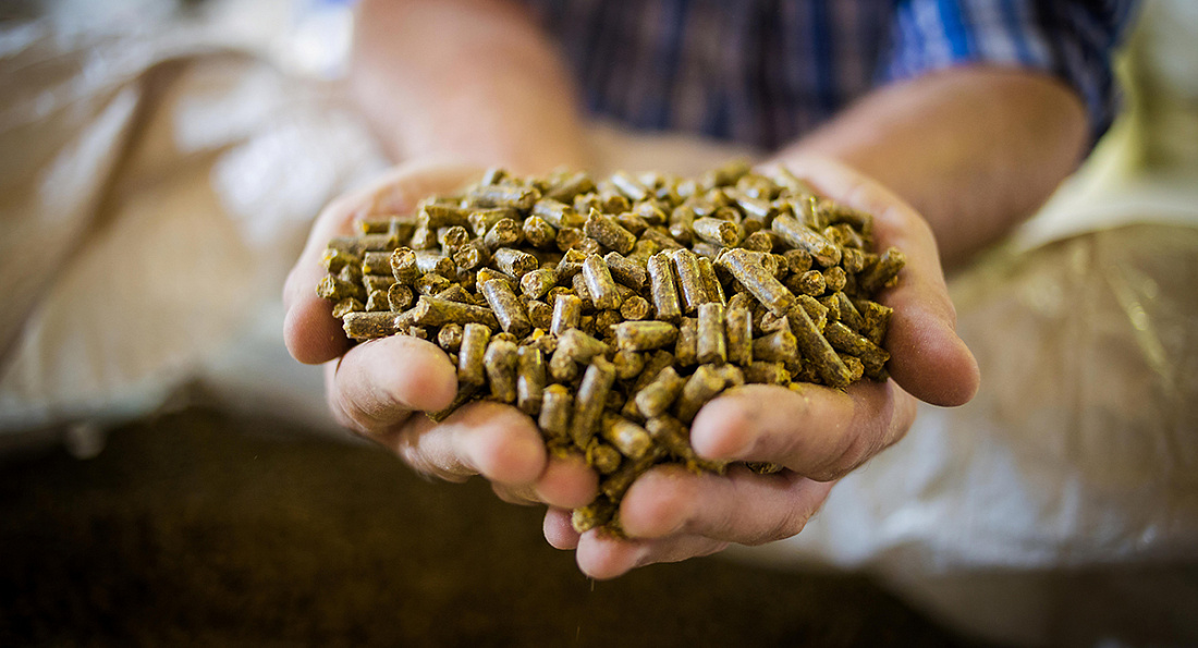 Ступинский завод кормов отказался от антибиотиков и предложил альтернативу