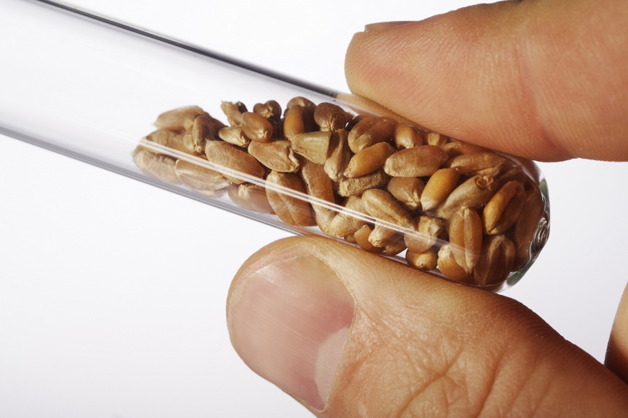 Россельхознадзор ознакомился с турецкой системой контроля остаточного содержания пестицидов в зерновой продукции