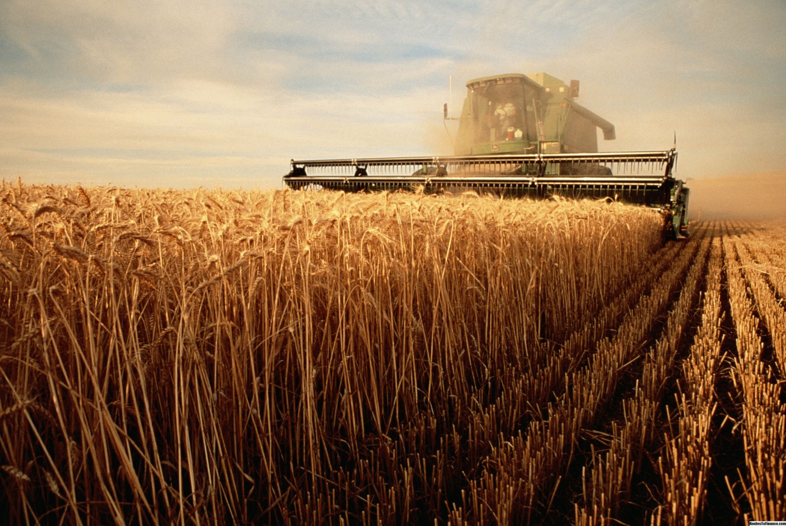 В Минсельхозе назвали дату начала «нового ренессанса» сельского хозяйства РФ