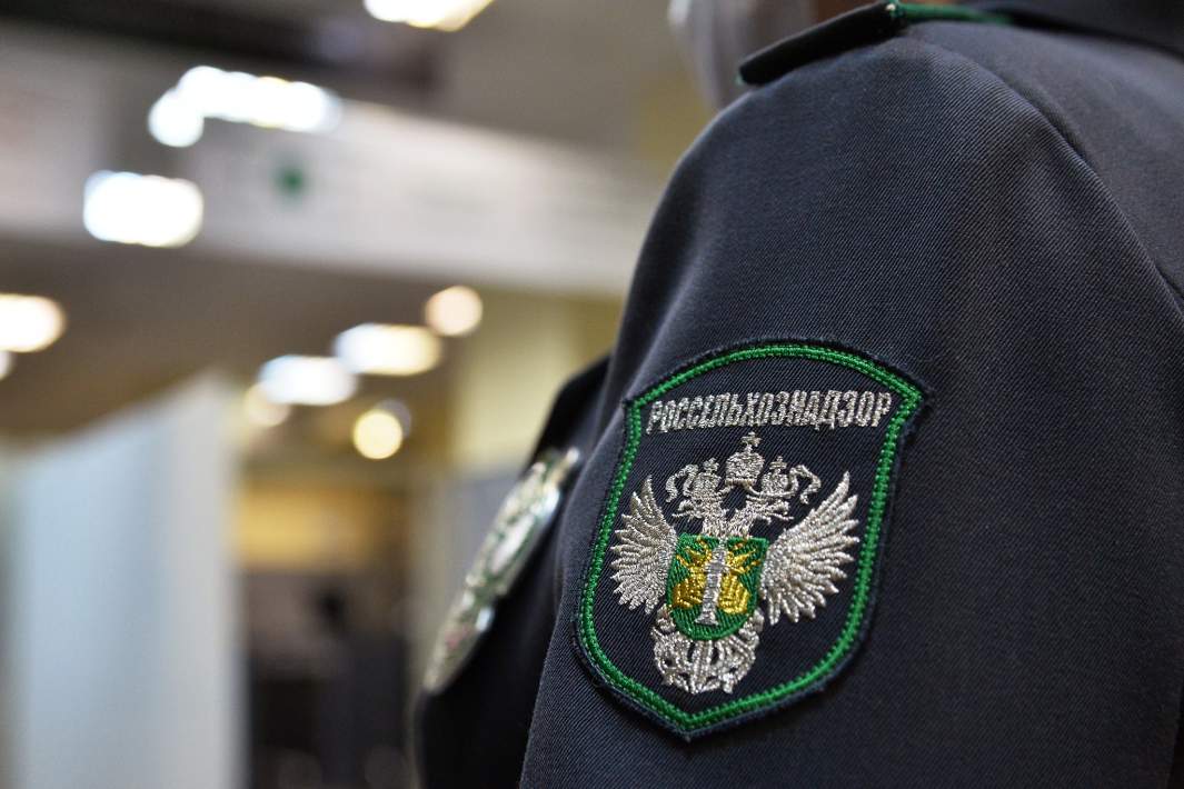 В Омскую область не пустили из Казахстана 20 тонн корма для коров