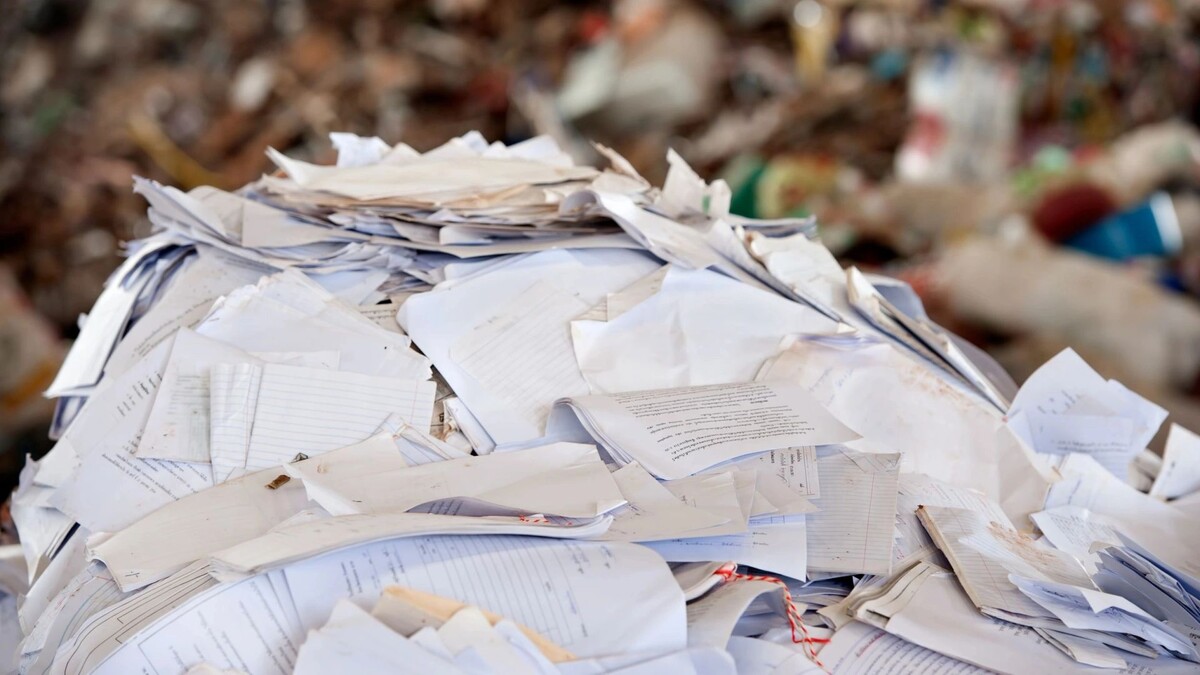 Смогут ли бумажные отходы стать кормом для сельхозживотных