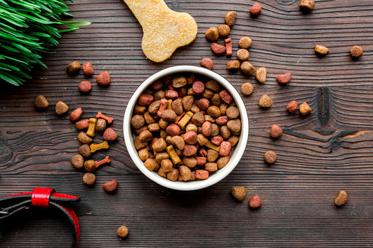 Студент из Бурятии получил миллион на инновационный комбикорм для собак