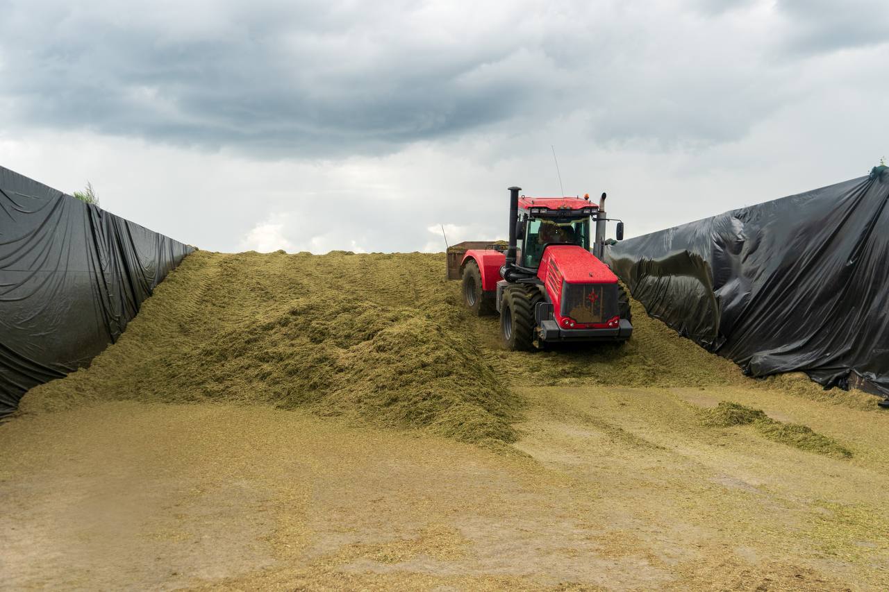 Подмосковные аграрии приступили к заготовке кормовой базы для скота на предстоящий зимний сезон