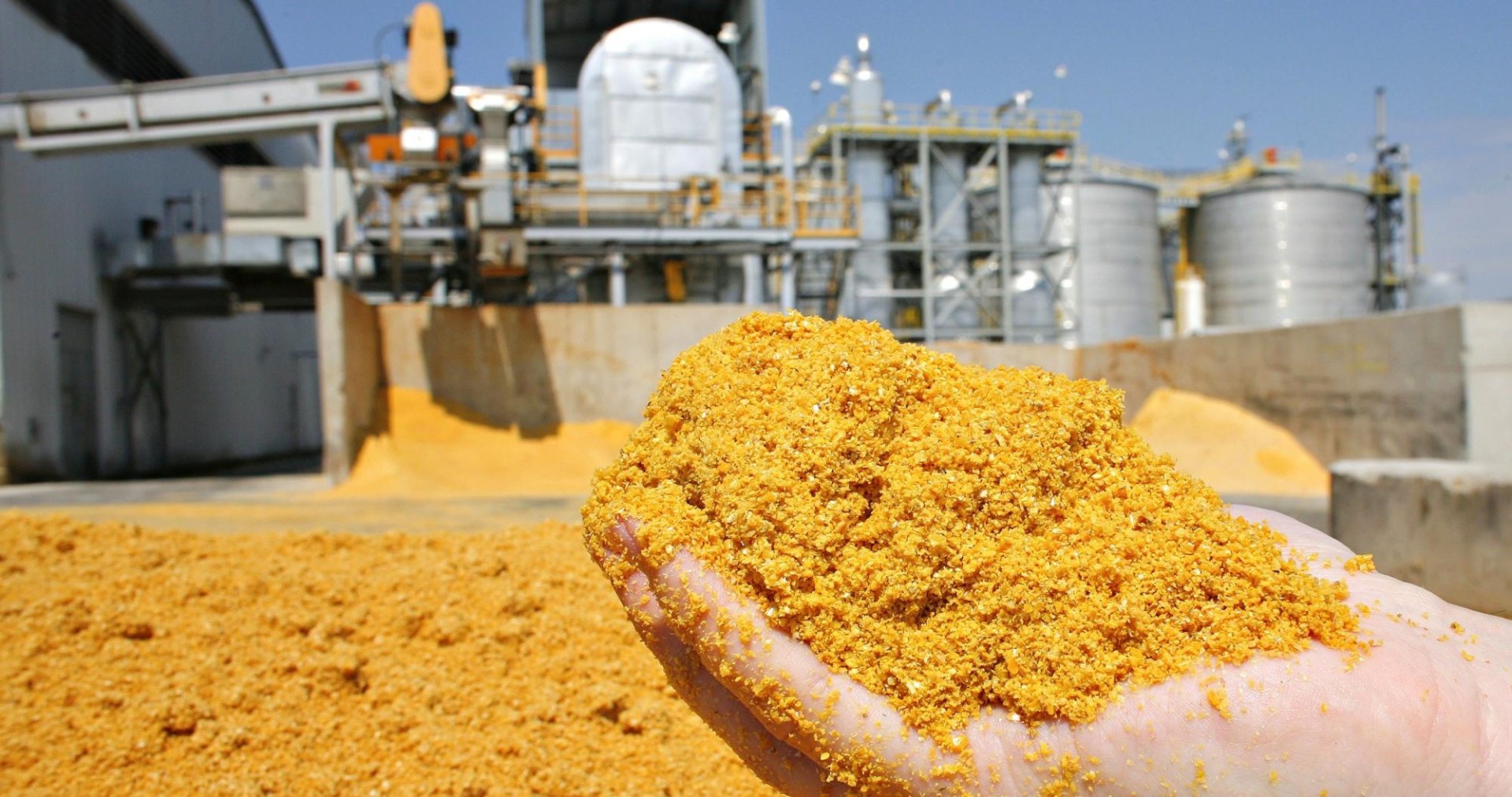 Рынок продуктов глубокой переработки зерна показывает разнонаправленную динамику