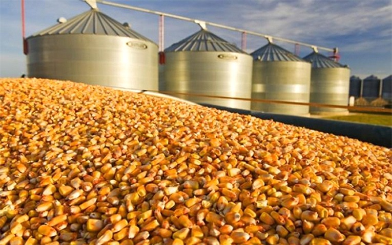 В регионах Черноземья расширят глубокую переработку сырья