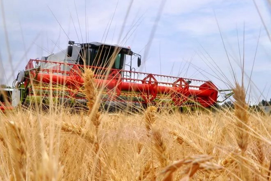 Агрохолдинг 