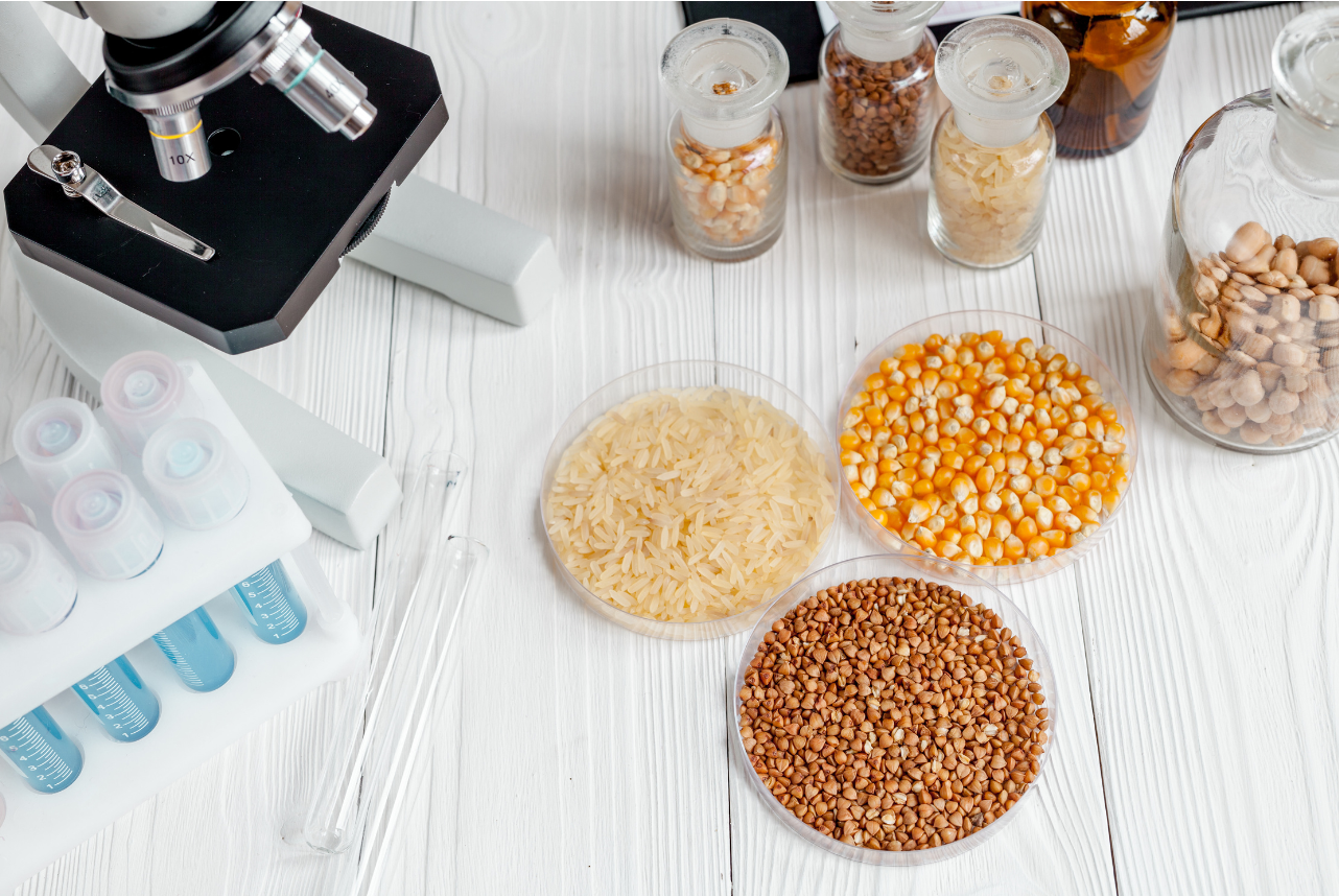 ВГНКИ разработает методы выявления пестицидов в кормах