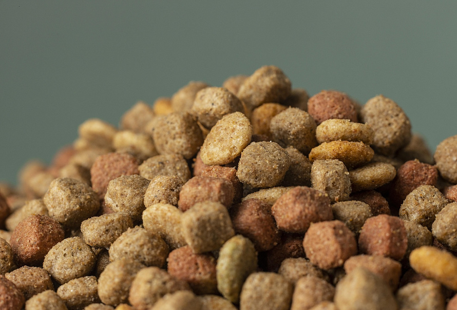 Олег Дерипаска открыл производство кормов для питомцев с норвежскими и китайскими технологиями