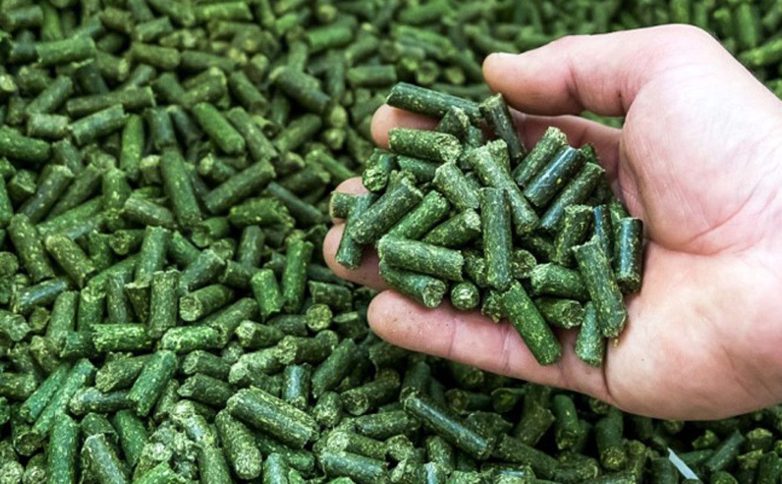 В Приморье проверили корма