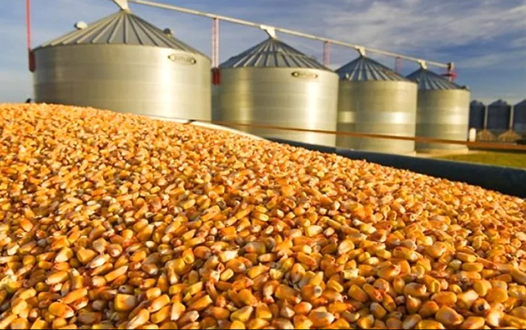 Grain Craft завершила покупку кукурузных активов компании Bunge в Северной Америке