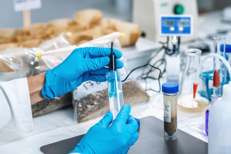 Впервые в лаборатории Новороссийского филиала ЦОК АПК исследовали гранулированную оболочку сои для экспорта в Ливан