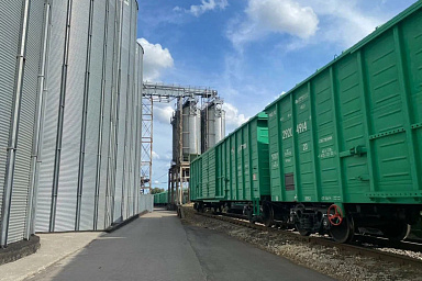 В Ростовской области проконтролировано более 3 тысяч тонн подсолнечного шрота на экспорт в Турцию