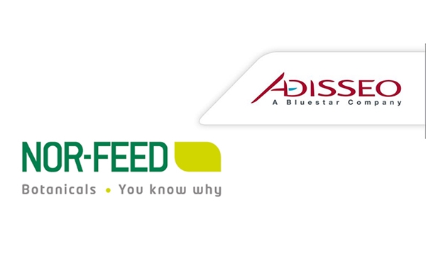 Nor-Feed сосредоточиться на разработке растительных экстрактов для использования их в кормах