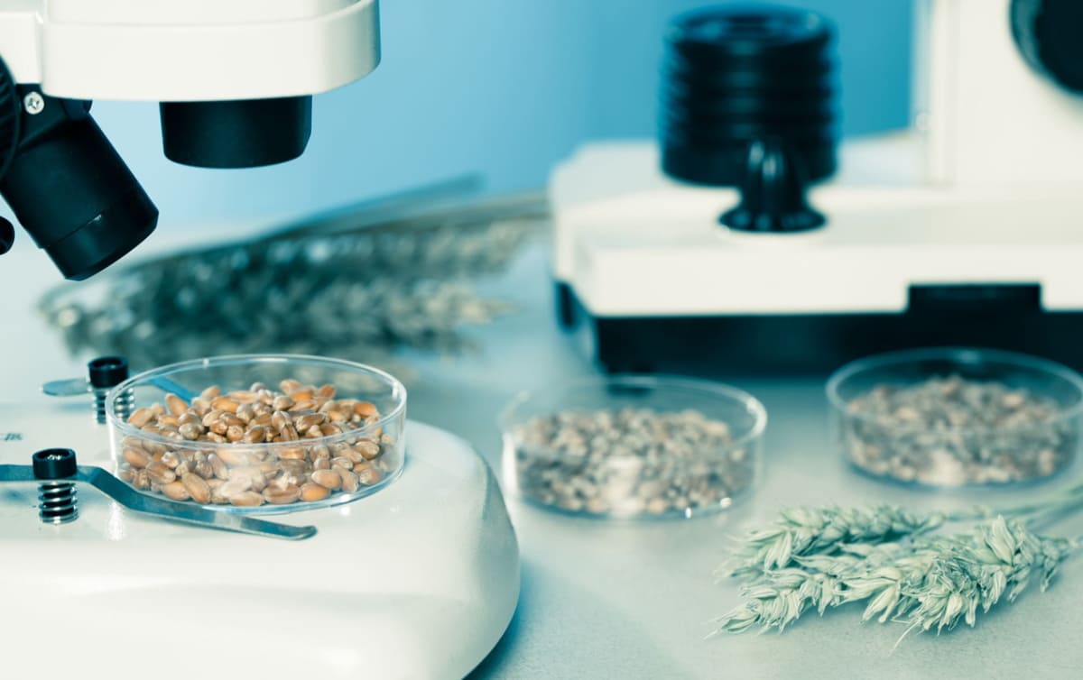 Новые ветпрепараты и корма получили статус органических