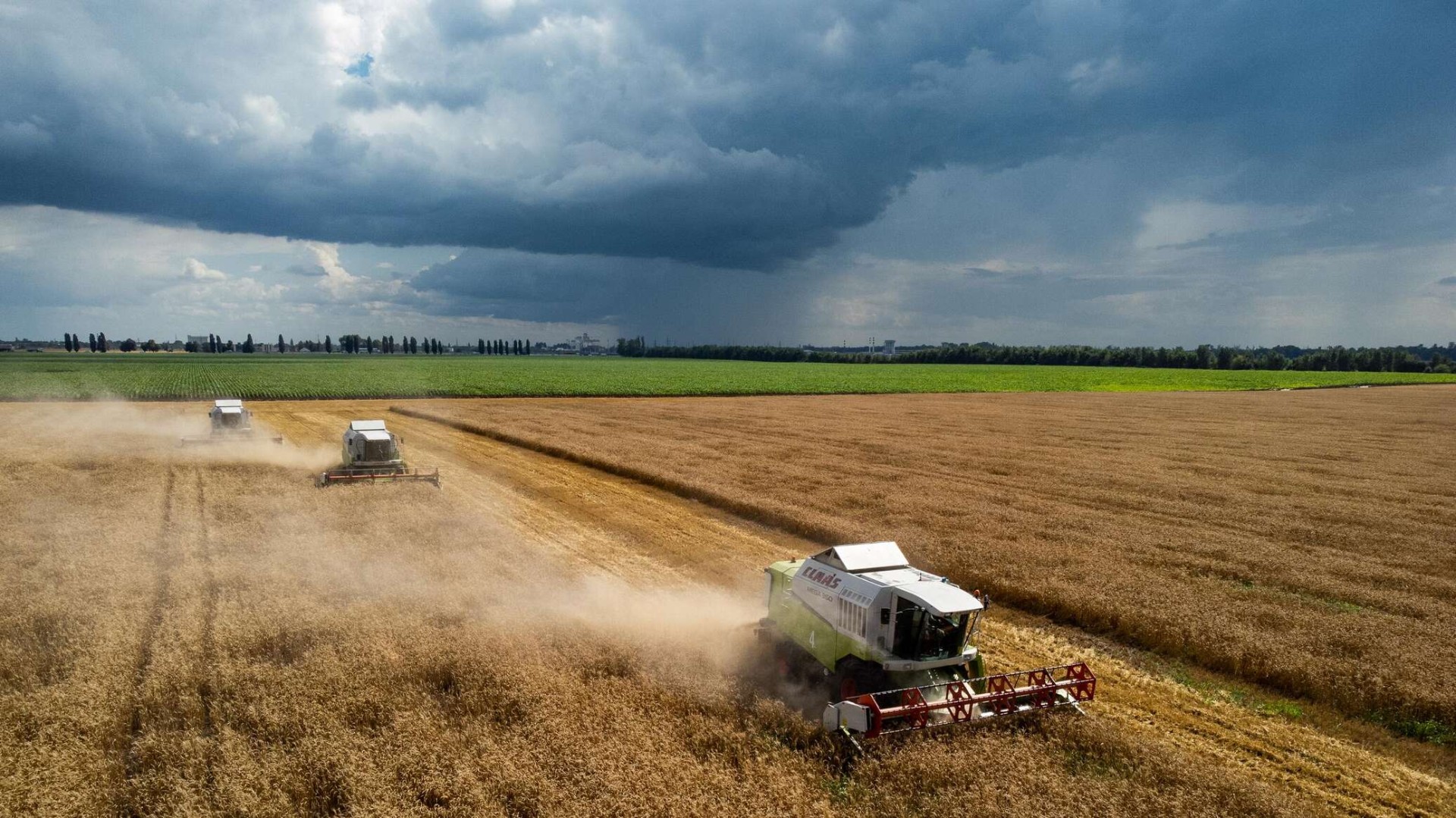 Уборочная кампания началась в восьми муниципалитетах Липецкой области