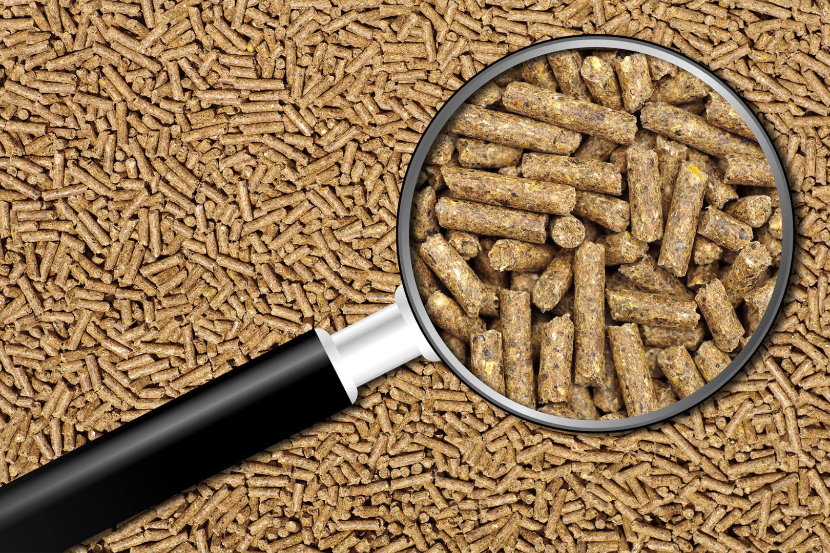 Минсельхоз разработал методику экспертиз безопасности ГМО в кормах и кормовых добавках