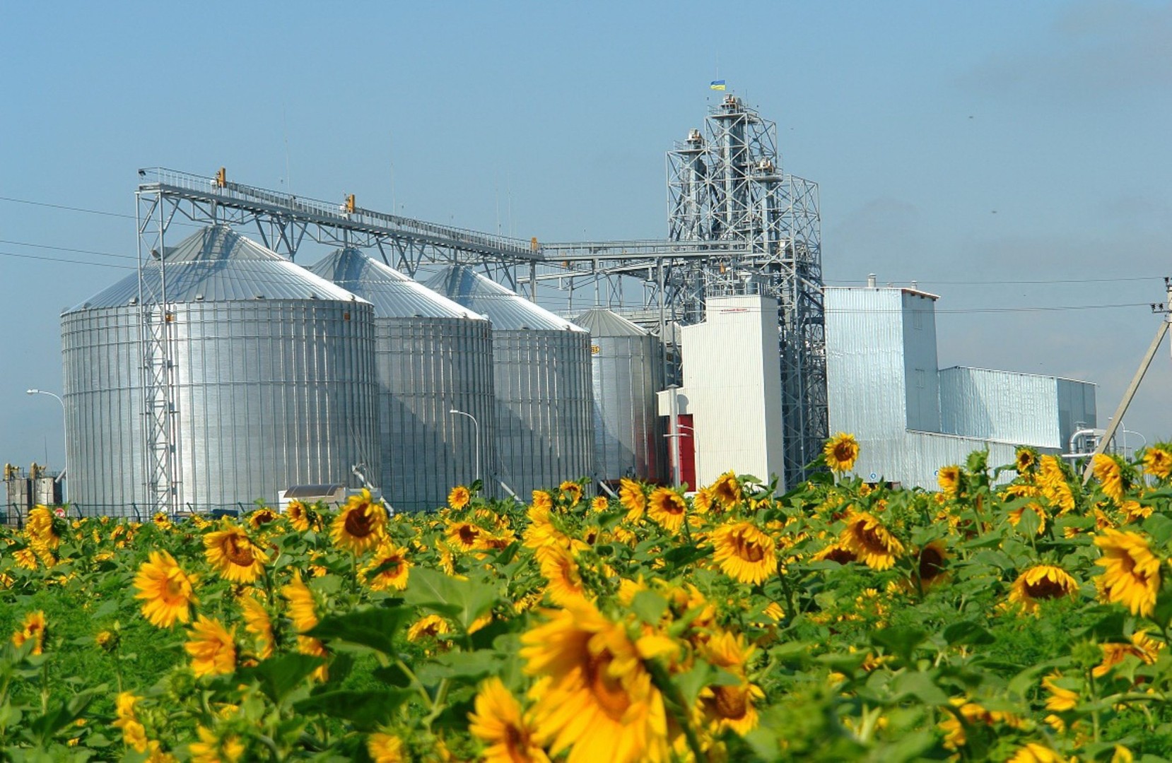 ГК «Эфко» возобновила работу двух маслоэкстракционных заводов на Кубани