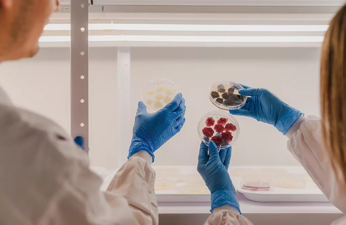 Novella и Metaphor Foods займутся совместным выпуском натуральных консервантов нового поколения