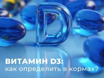 Эксперты МЕГАМИКС сравнили методы испытаний кормового витамина D в России и Китае