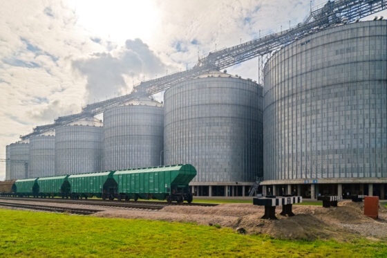 «Новый сухопутный зерновой коридор» выходит в сельхозпроизводство в Сибири и на Дальнем Востоке