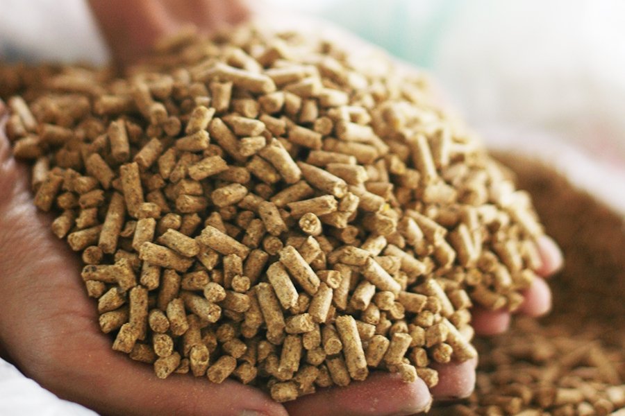 На Ставрополье открыли новый комбикормовый завод на птицефабрике