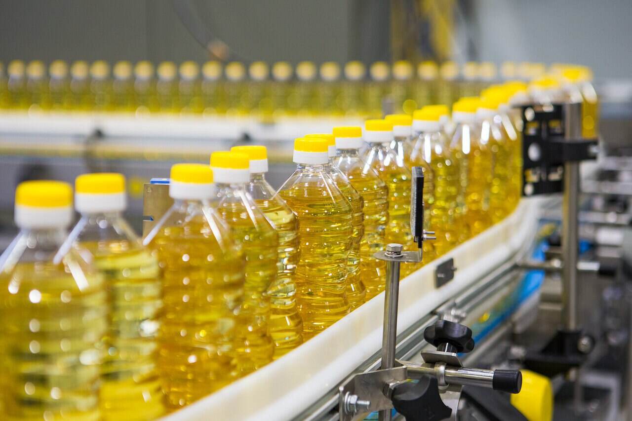 Москва и Каир обсуждают создание производства подсолнечного масла в Египте