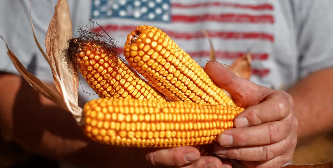 PepsiCo и Cargill внедрят регенеративное земледелие: программа охватит 240 000 акров кукурузы в Айове к 2030 году