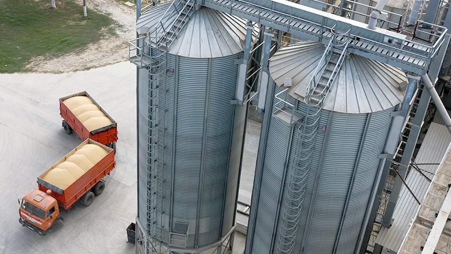 В Татарстане Россельхознадзор проконтролировал почти 40 тысяч тонн зерна и продуктов его переработки на экспорт