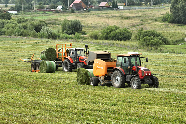 Хозяйства Забайкалья приступили к заготовке кормов на зимовку скота