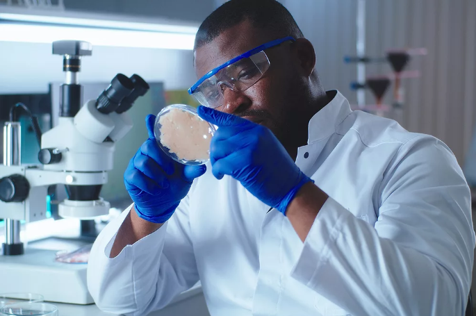 Прецизионно-ферментированный куриный белок успешно испытан в кормах для собак