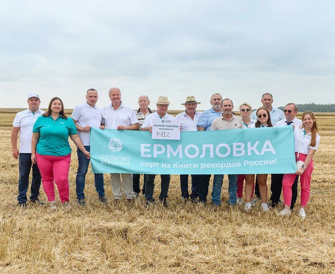 Революция в сельском хозяйстве: подмосковные аграрии побили мировой рекорд по урожайности пшеницы