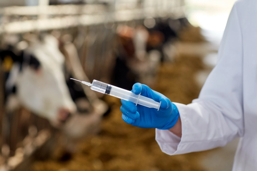 Основные события рынка ветеринарных препаратов в России. Август 2025 года