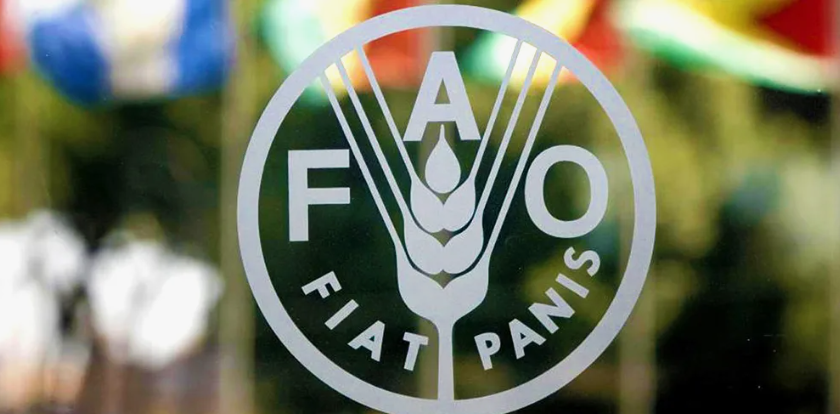 В июле значение Индекса продовольственных цен ФАО незначительно выросло