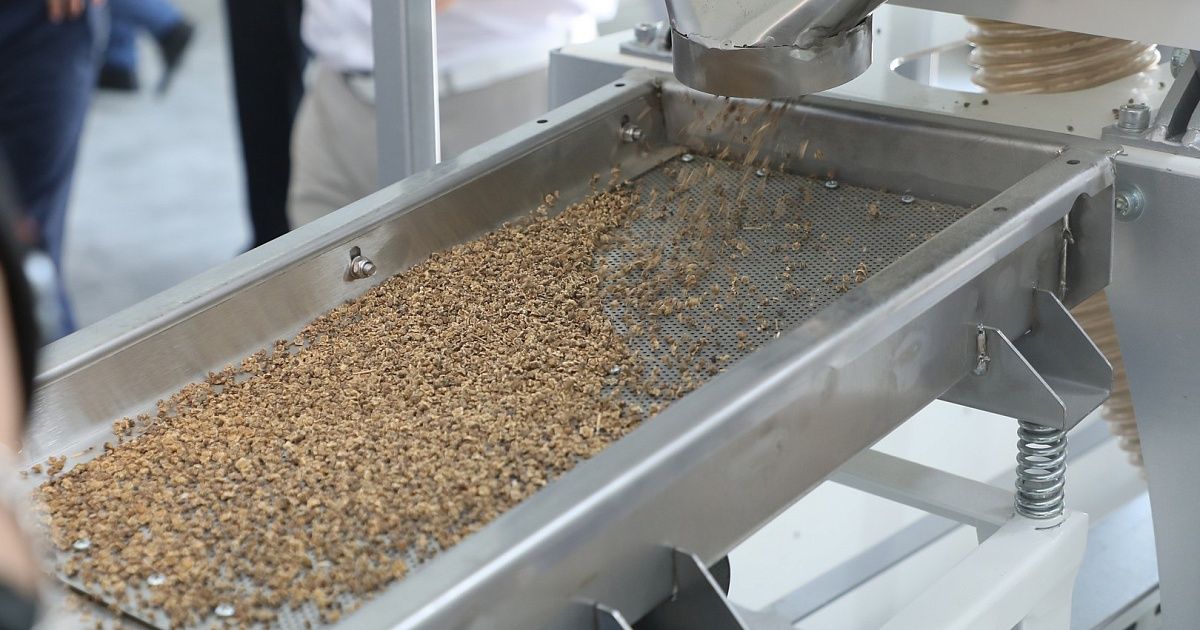 Производство бетаина и семян сахарной свеклы запустят на Кубани