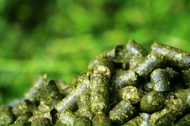 В Пермском крае откроется завод по производству витаминно-травяной муки