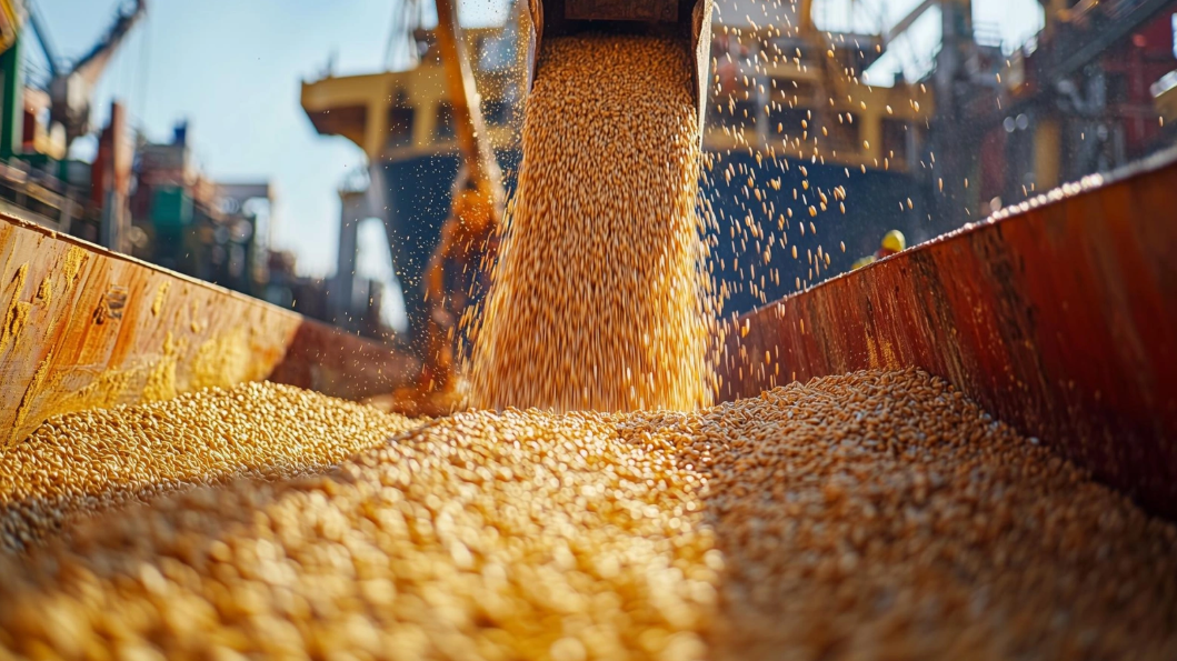 Российские суда для экспорта зерна обойдутся в четыре раза дороже, чем китайские