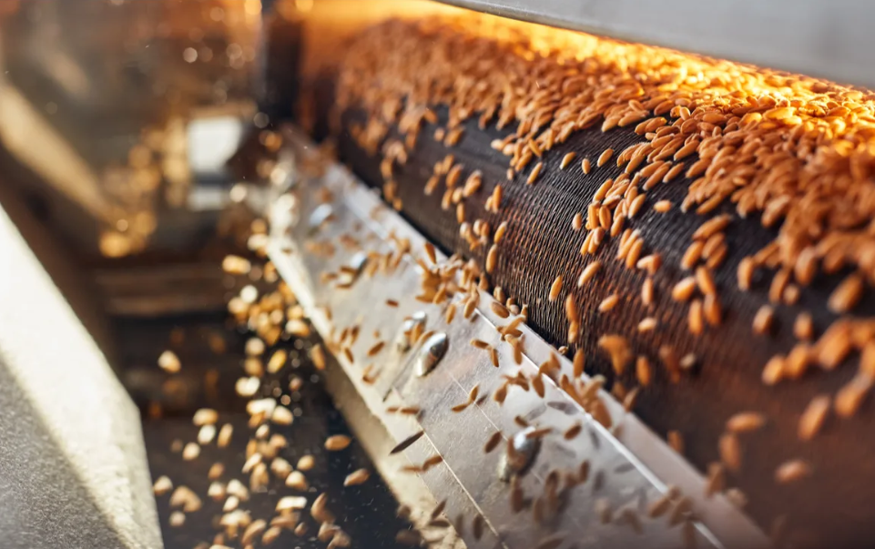 Россельхознадзор информирует о нововведениях в законодательстве при осуществлении государственного контроля в области качества и безопасности зерна