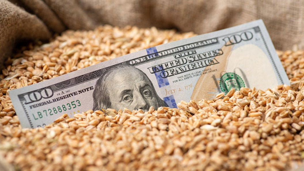 Американская кукуруза теряет в цене, соя демонстрирует разнонаправленную динамику, пшеница слегка подорожала