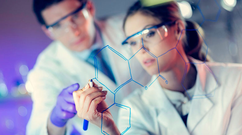 Учёные РЭУ разработали способы создания высококачественного корма для животных на основе переработки просроченного продовольствия