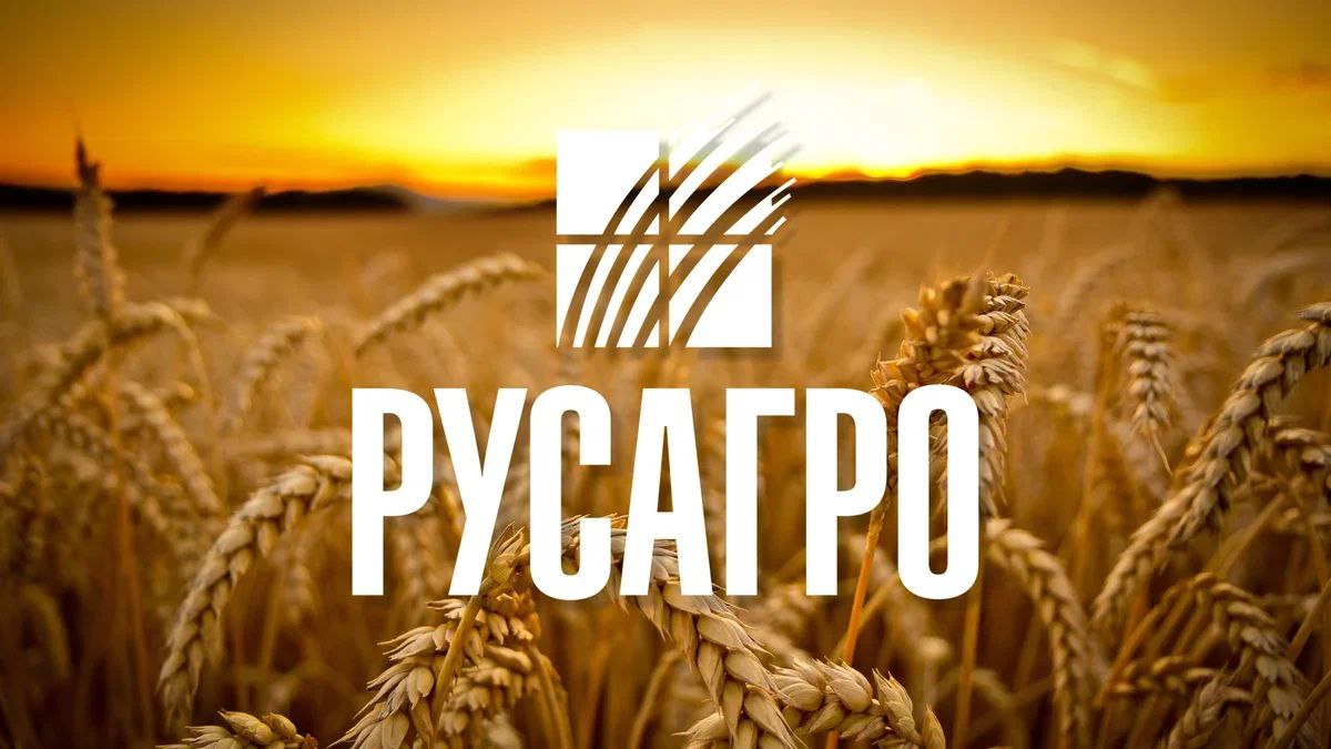 Чистая прибыль «Русагро» по МСФО в первом полугодии выросла на 20%