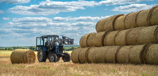 В Кировской области заготовлено более 90% кормов