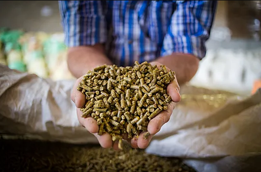 Минсельхоз определил список ферментов и кормовых добавок для господдержки