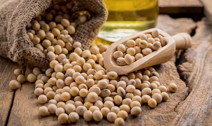 Bunge и BKP расширяют сотрудничество по поставкам сои без вырубки лесов