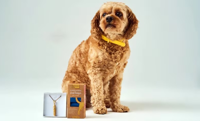 Butternut Box выпустил золотой кулон с собачьим калом